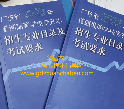 考试目录